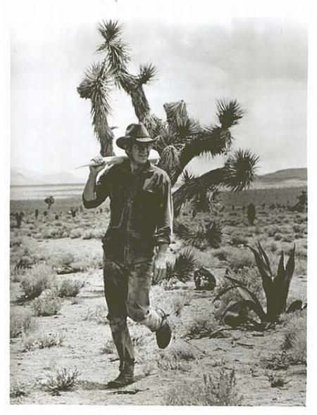 nevada smith