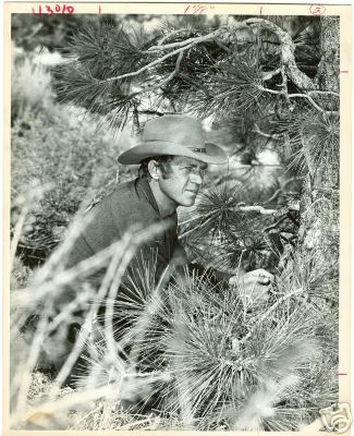 nevada smith
