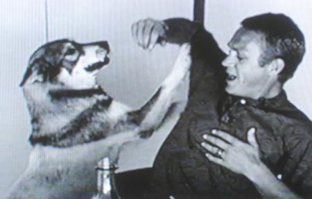 ;
