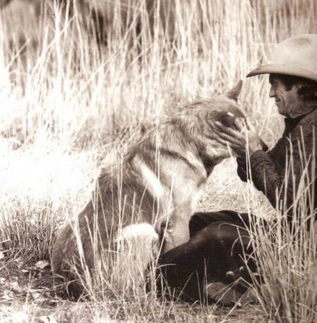 sur tom horn