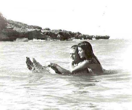 papillon