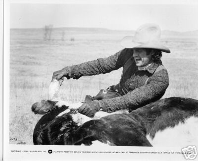 tom horn